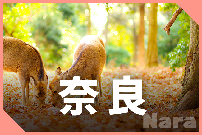 奈良県