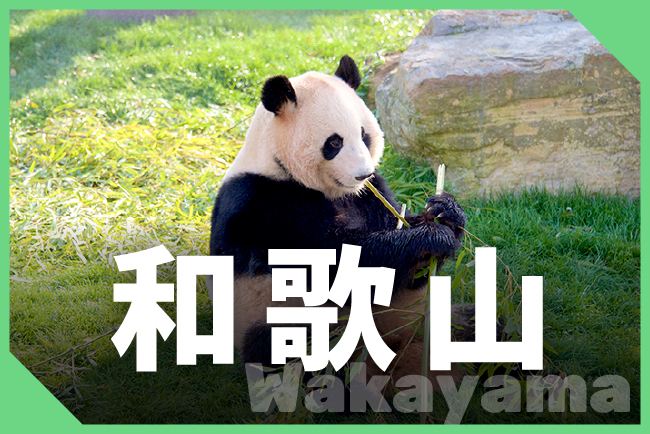 和歌山県